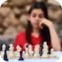 image chess picture